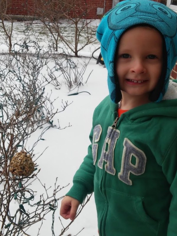 Pinecone Bird Feeder