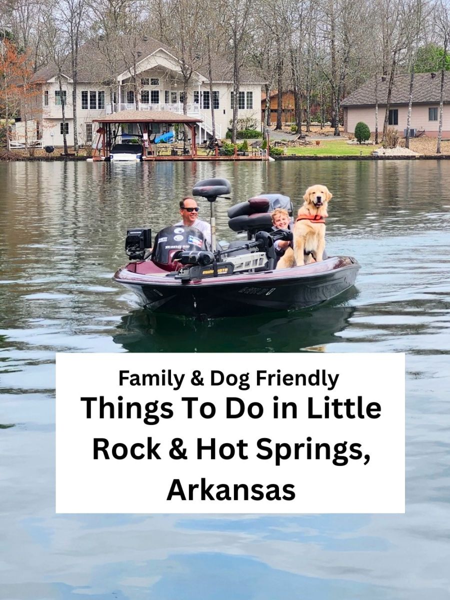 Dog-Friendly Adventures in Arkansas: A Family&nbsp;Guide