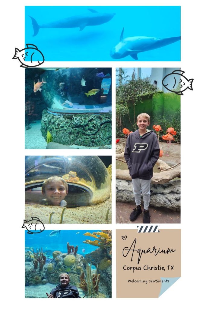 Texas State Aquarium Corpus Christi