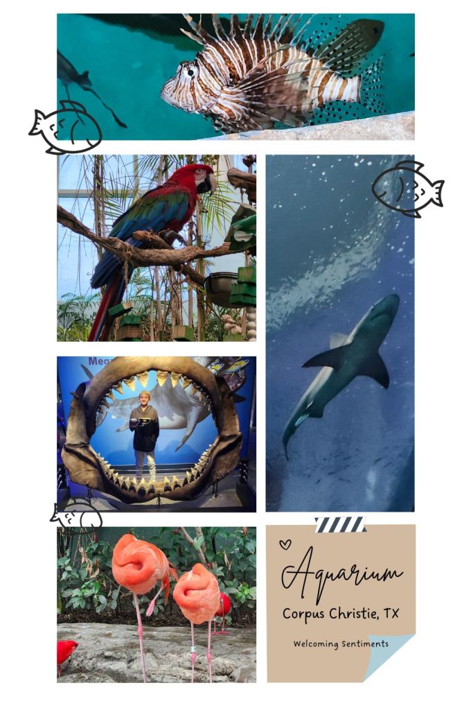 Texas State Aquarium Corpus Christi
