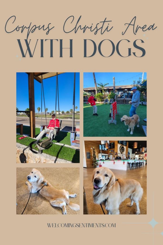 Corpus Christi and Port A, Port Aransas with a dog, dog friendly