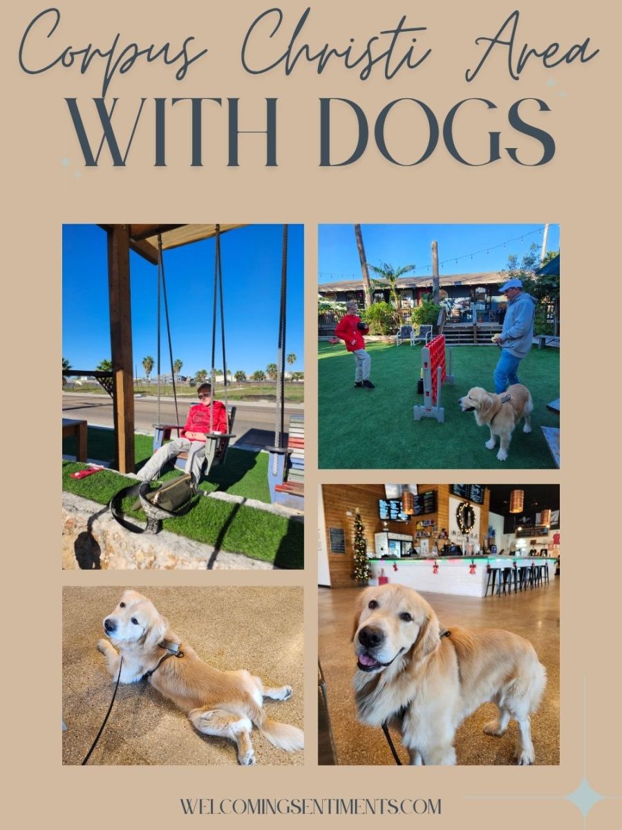 Corpus Christi Road Trip:  A 10 day adventure (with a&nbsp;Dog!)
