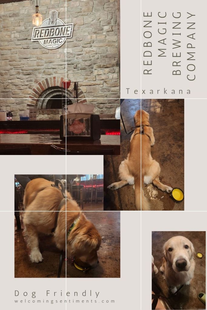 Dog friendly restaurant brewery in Texarkana