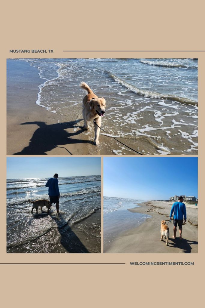 Mustang beach, padre island, port a, port Aransas, corpus christi