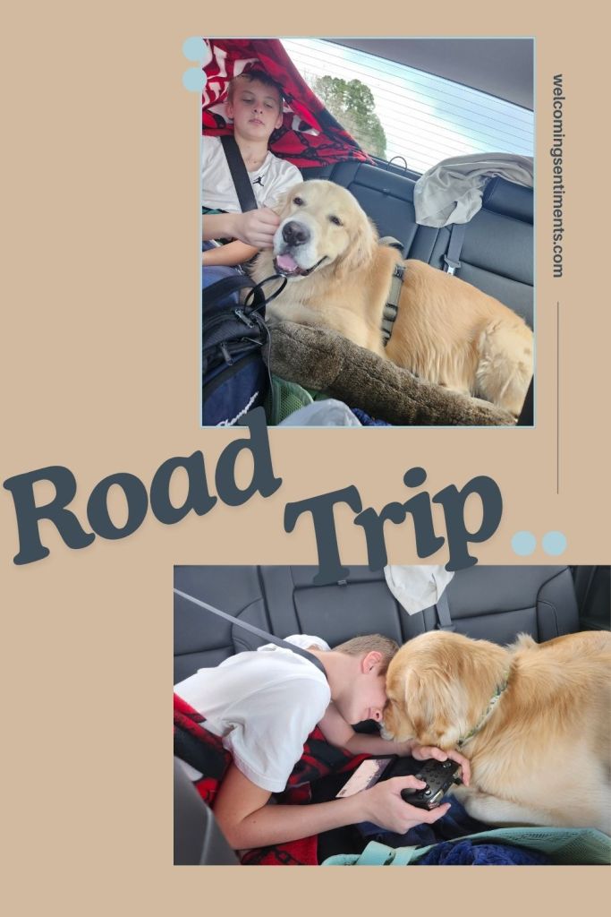 Road trip to Texas with a dog
